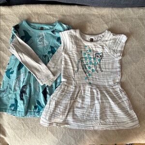 Tea Collection Dress Pair